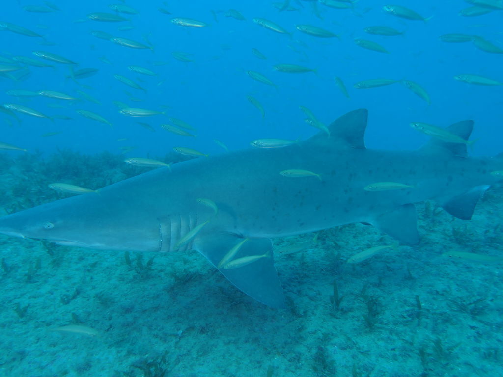 e9f71134-ef65-41a8-9962-2f0b51724c6b