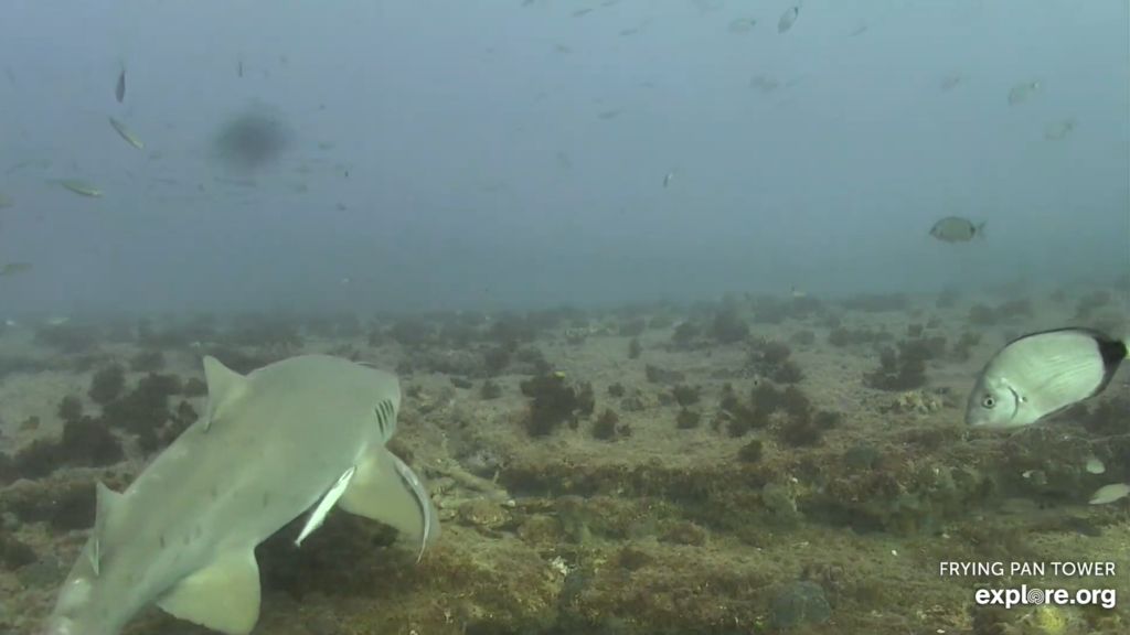 122aab4b-aa92-400e-ac25-c30b6ff7a35a