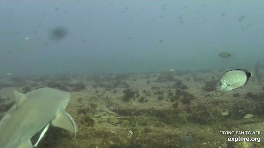 122aab4b-aa92-400e-ac25-c30b6ff7a35a