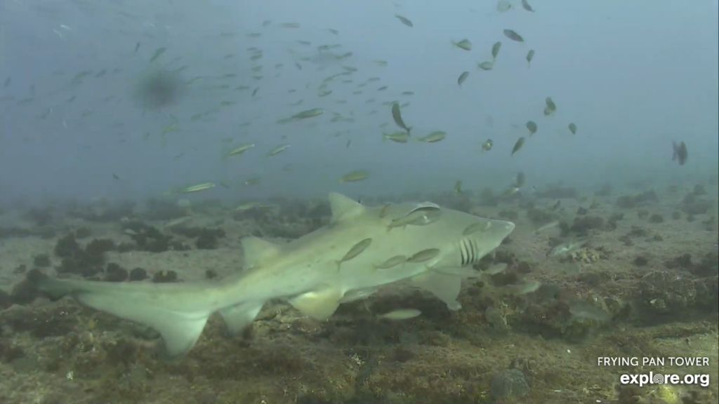 122aab4b-aa92-400e-ac25-c30b6ff7a35a