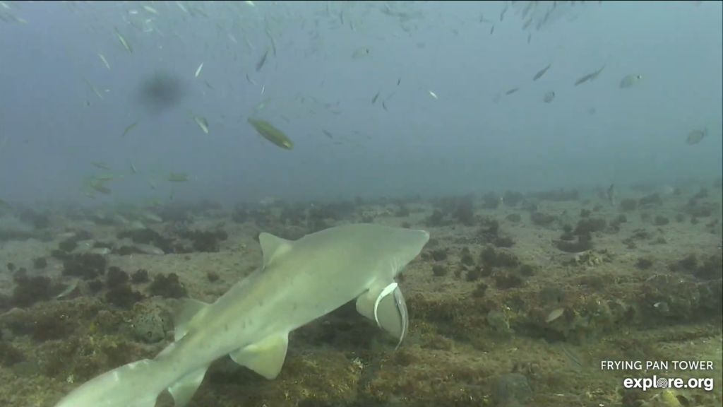 122aab4b-aa92-400e-ac25-c30b6ff7a35a