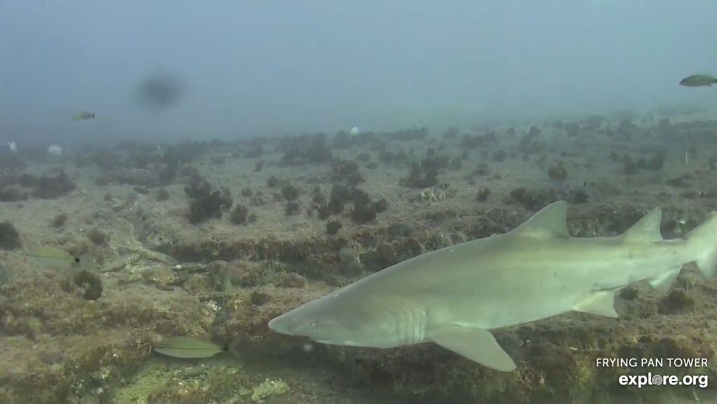 122aab4b-aa92-400e-ac25-c30b6ff7a35a