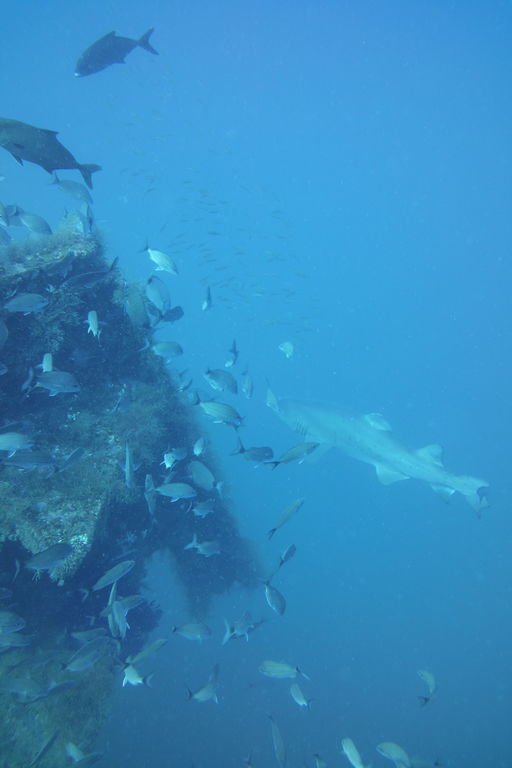 e8f54d4a-c89c-4c31-9085-35efcdfd0b6a