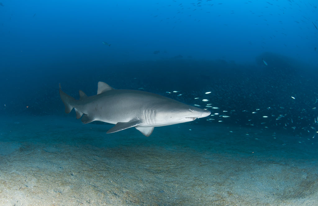 382fcc24-1822-4493-93d2-3f572a4dd196