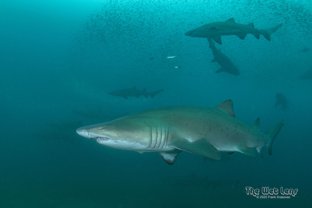 ec4f9f34-6e67-4397-837f-284131d17378