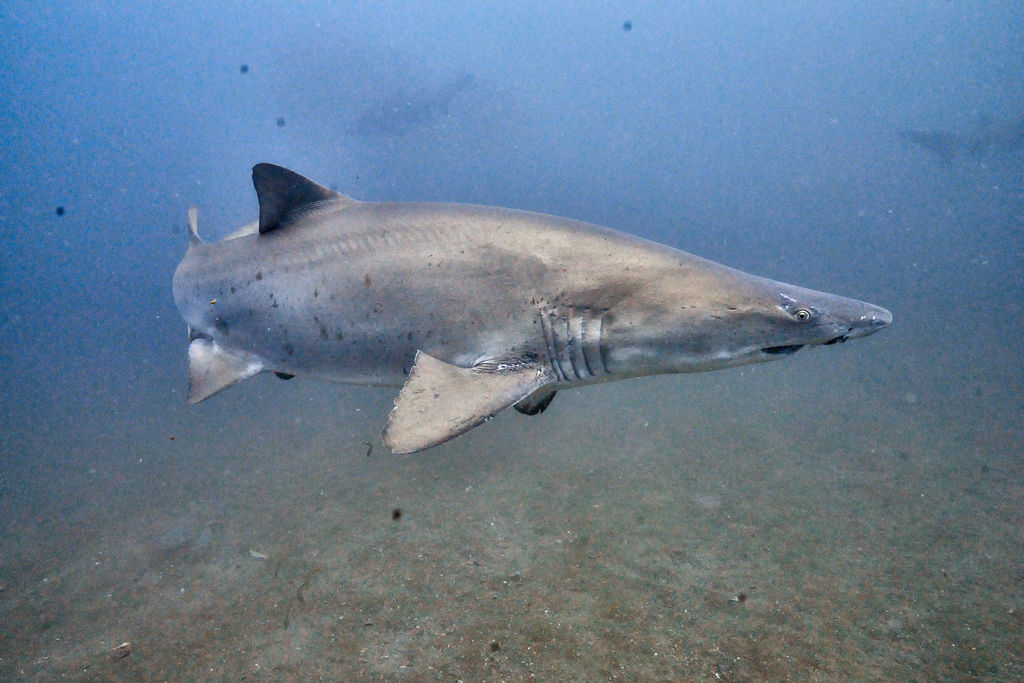 b7dcafee-f523-4f69-87d1-2e9bb3494945