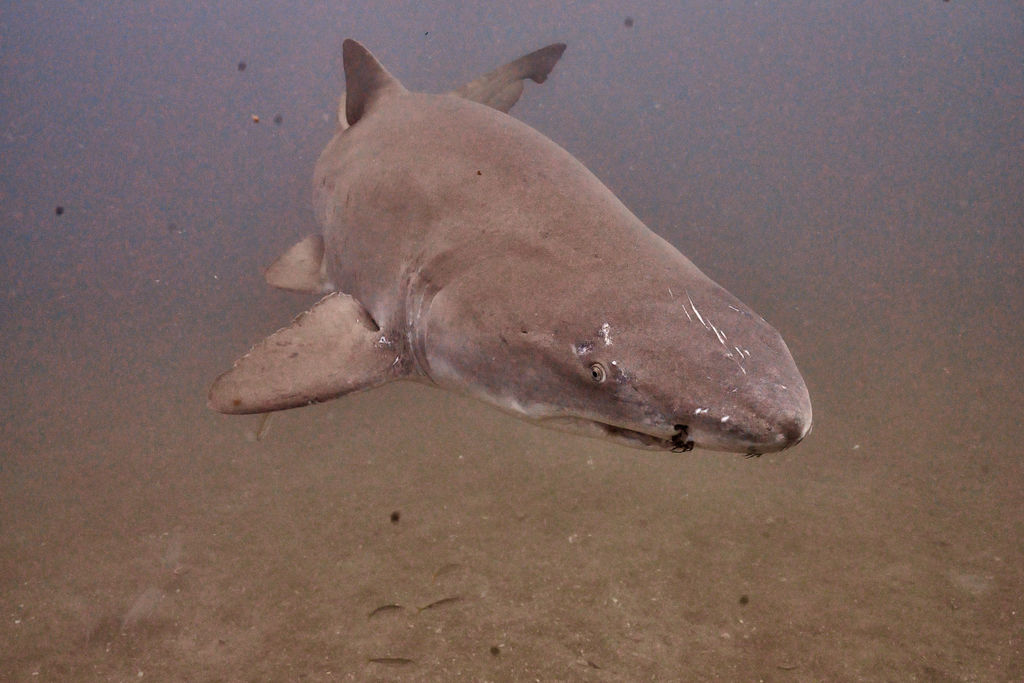 b7dcafee-f523-4f69-87d1-2e9bb3494945