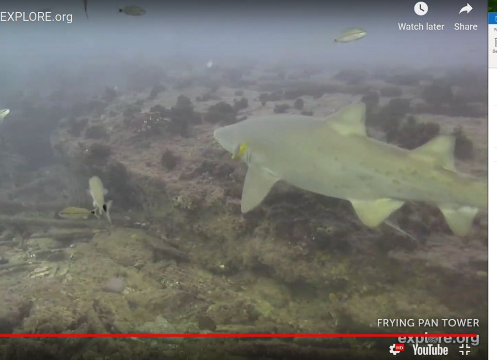 fcf56ad7-1b3f-4edf-b359-0ffdc75fe86b