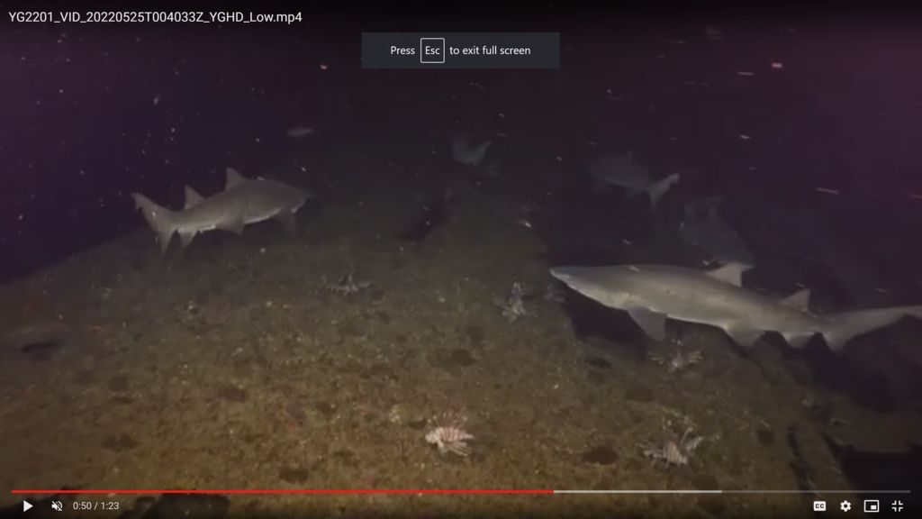 5ab567f4-a291-47a7-8fa3-bf00b26f678e