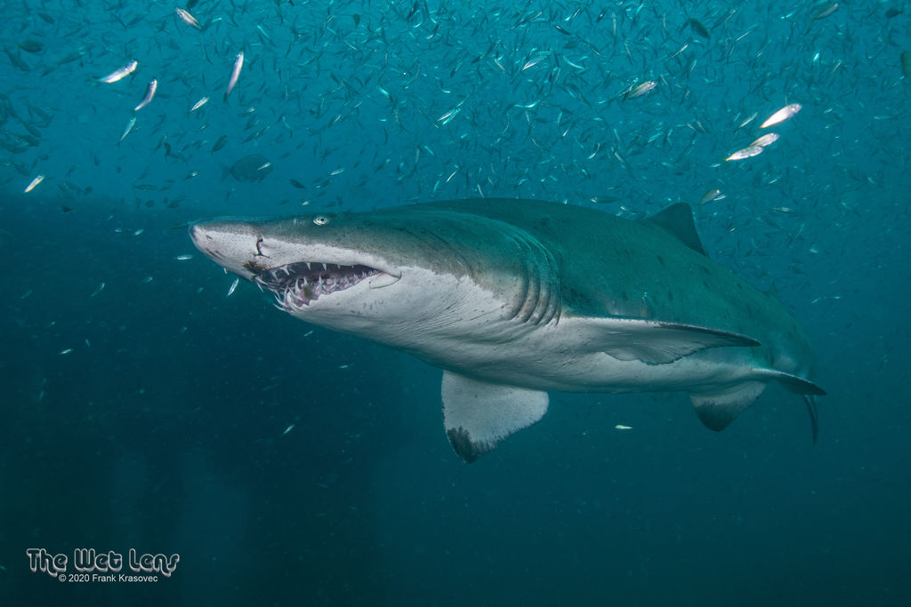 471be266-51ce-446a-8f59-d3b096047eee