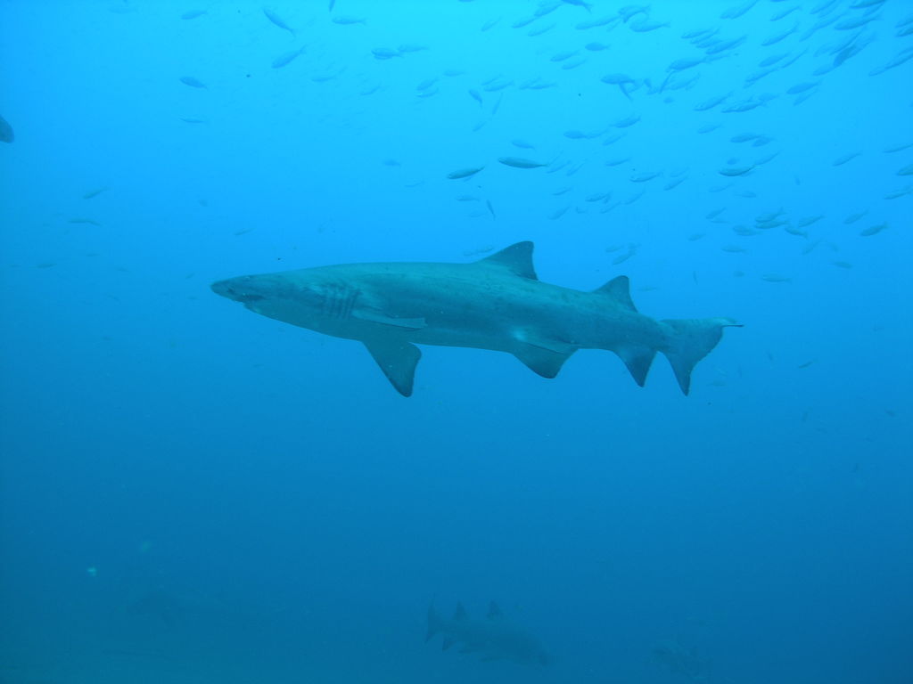 1d018d3c-1e3b-4322-8fc8-170e8452b385