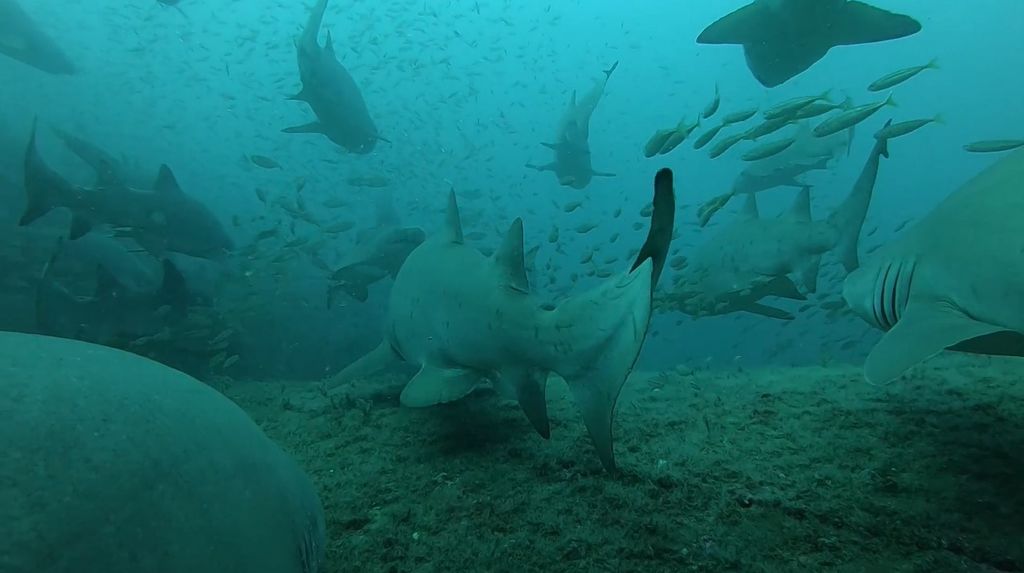 7cc5d169-9026-424e-93de-cbceab249f16