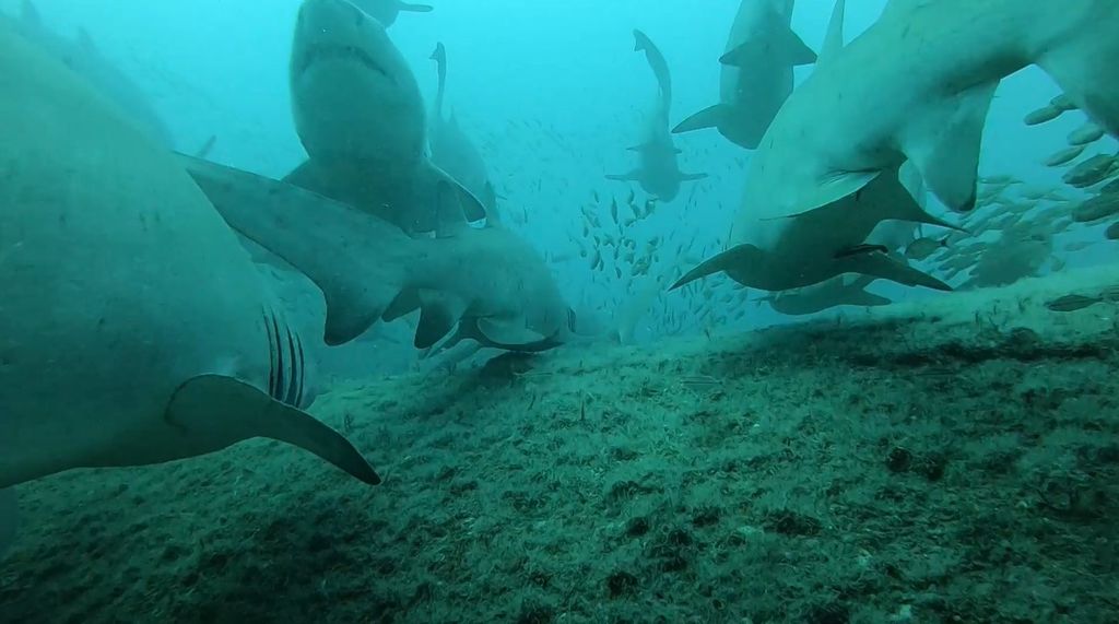 7cc5d169-9026-424e-93de-cbceab249f16