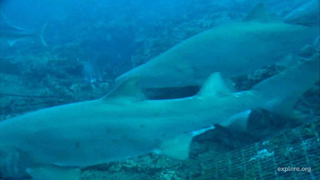 d57cb3cc-2807-483a-a058-b872744847e5