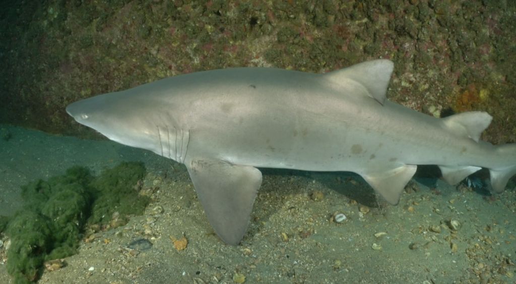 6f5e1f85-6396-4554-8a9e-a274f7725852