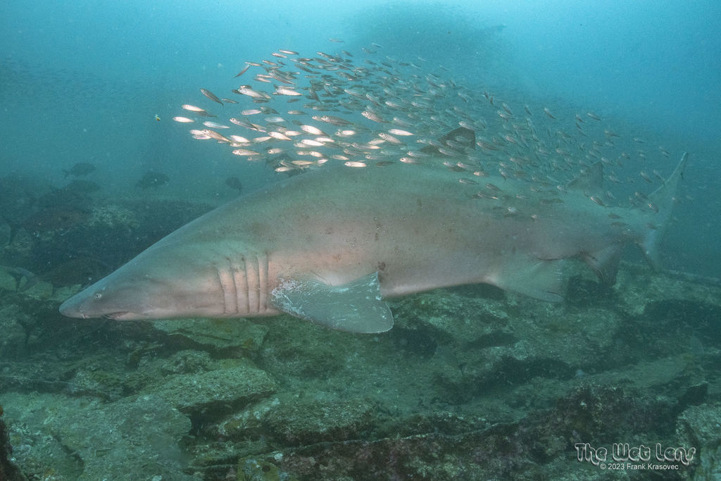 2d3f4689-b62d-45a0-a643-957009556e9f