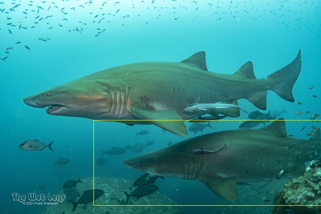 63c97cb3-5d20-4952-9efd-eb4e5bf41c48