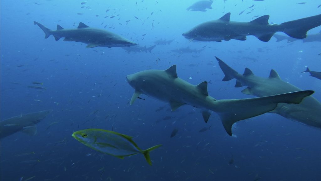 bf02d391-c35e-4c07-bb13-d7641bc23493