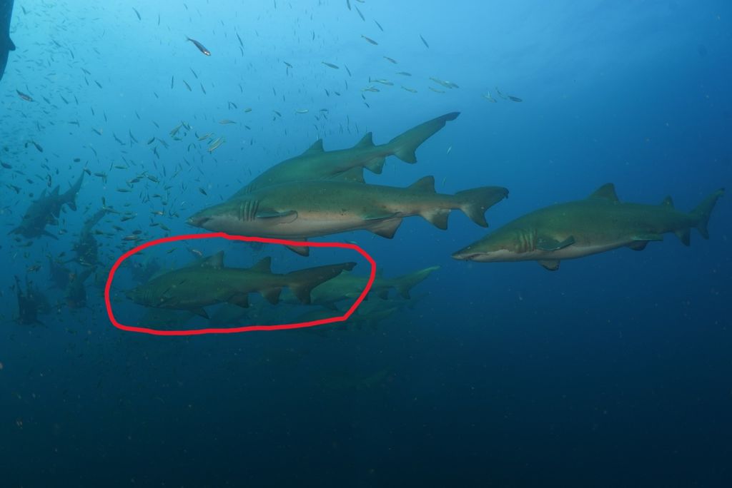 b90ff59a-b3e0-4c8d-8ce8-8981d710ea25