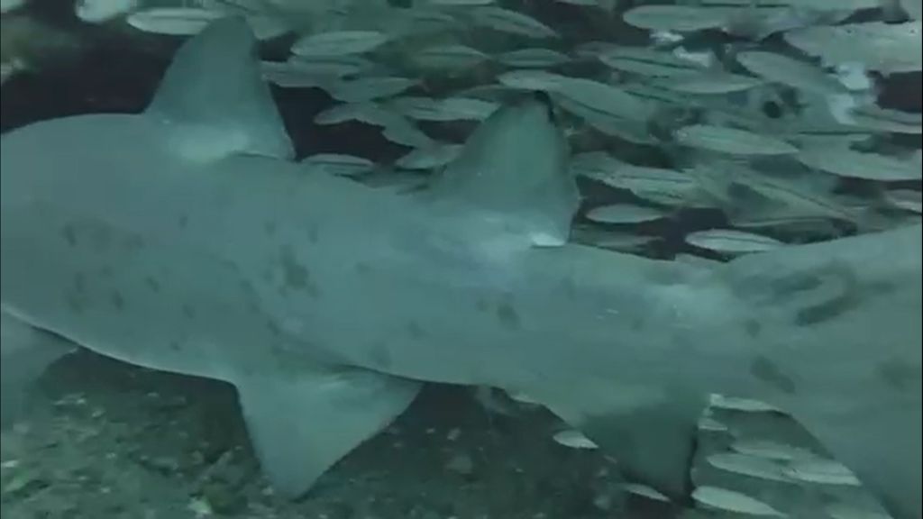 11be3dbc-5eee-4ecf-80ce-63048d154e95