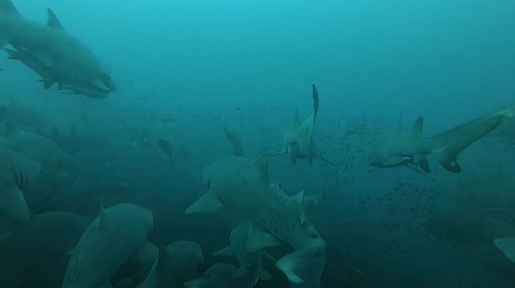 b0b2d043-ab37-44fb-bc9d-a5ecfa8d7b71