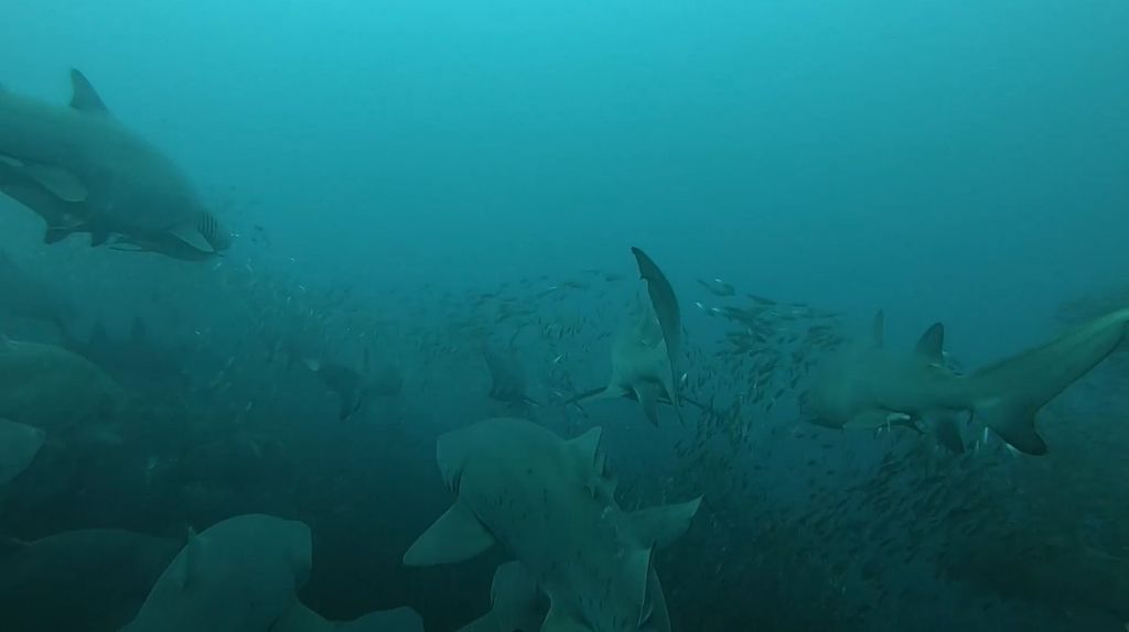 b0b2d043-ab37-44fb-bc9d-a5ecfa8d7b71