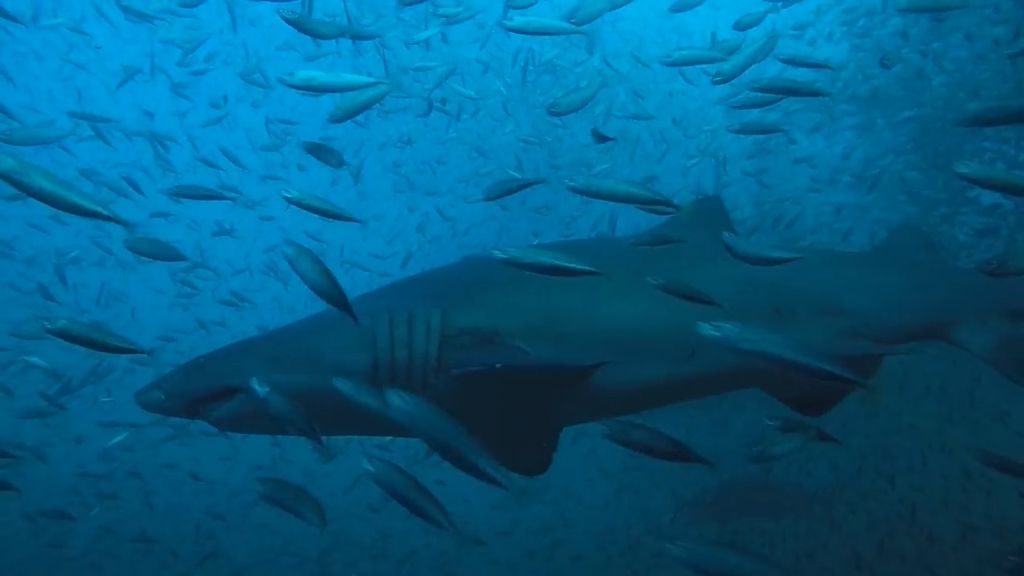 9abbee37-4f44-4289-b7be-e59f80ead336