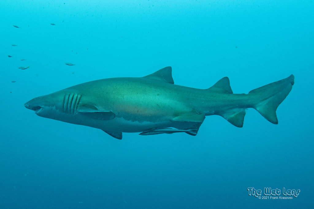 a84f9755-8403-4be9-abea-2c2680e36015