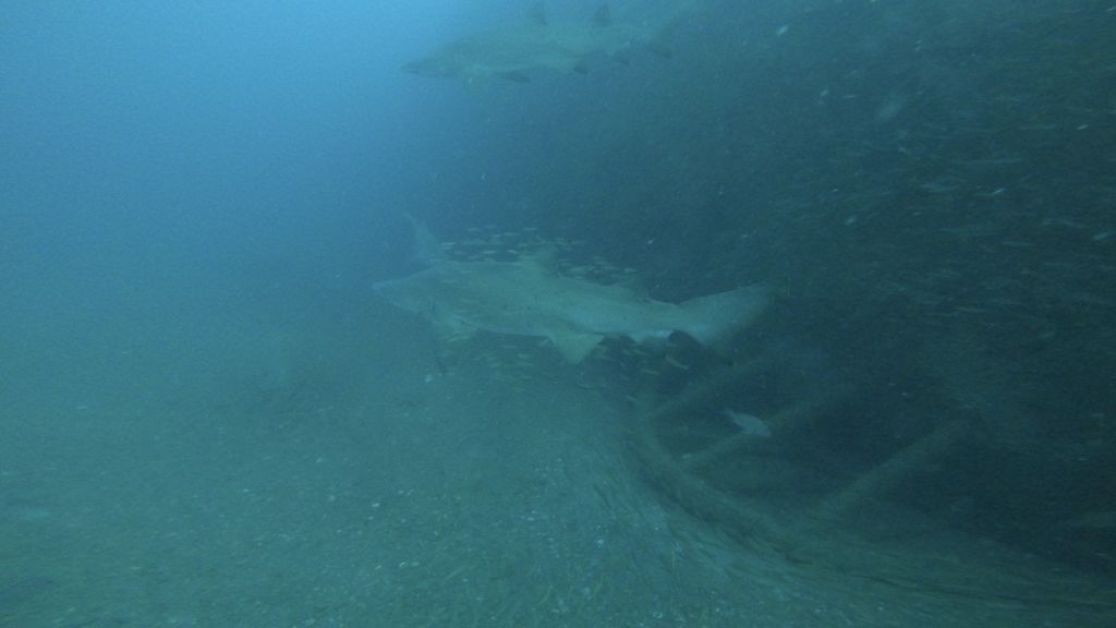 88492a2d-35b3-485f-90f0-1778a739d805