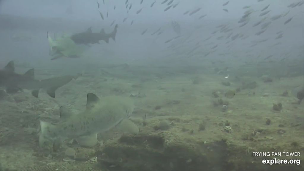 488b4847-d3c2-47c3-b21e-99b2fa4e865c