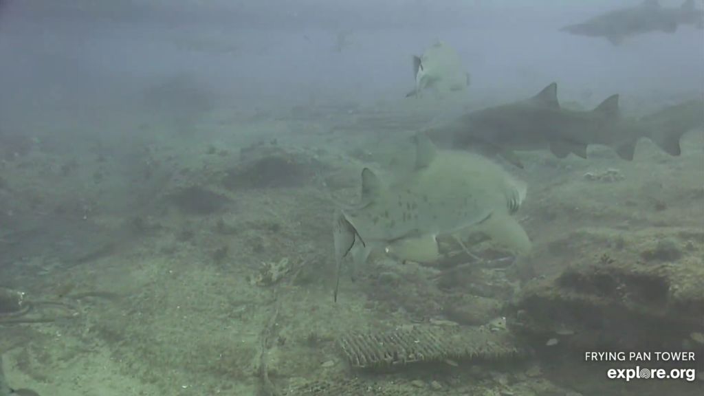 488b4847-d3c2-47c3-b21e-99b2fa4e865c