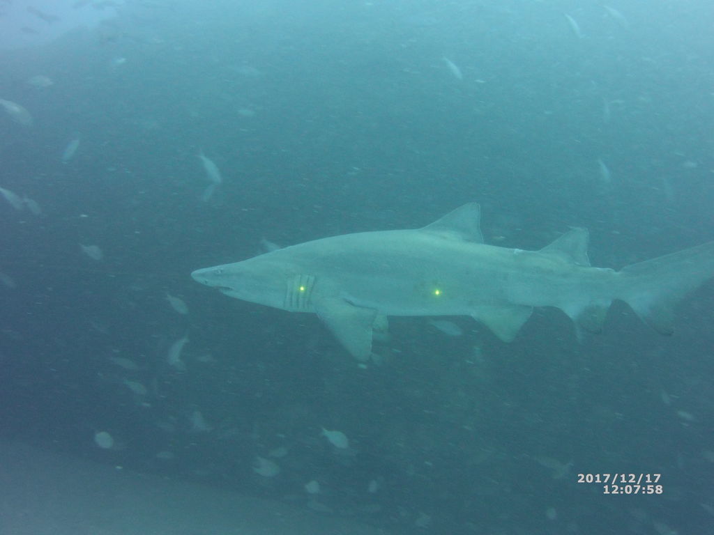 46e47259-4afd-423a-bc55-40bb0b20846d