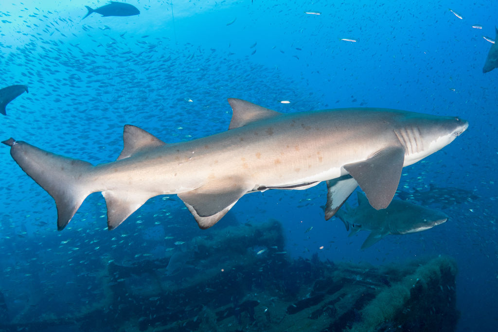 8aafe040-bad9-4b07-a380-b16c34ab1f59