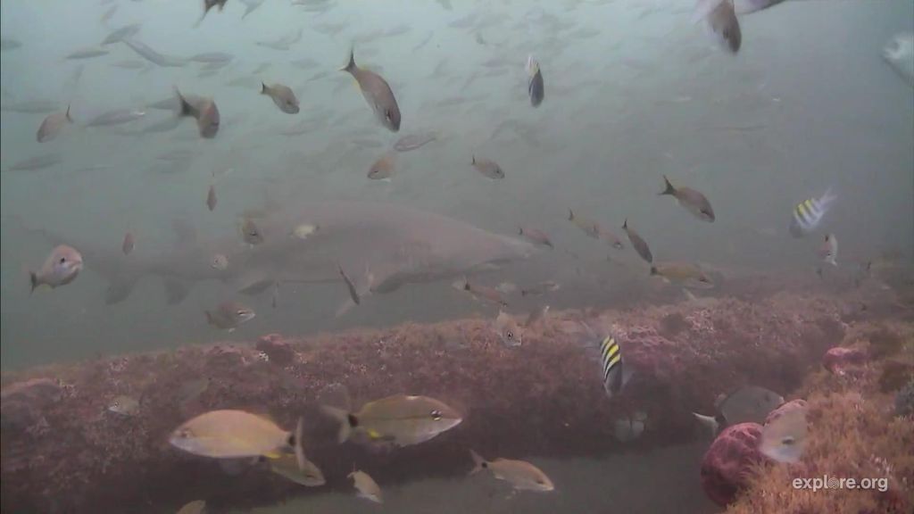 da480753-a0e1-4e94-b41c-4bdbff49f91d