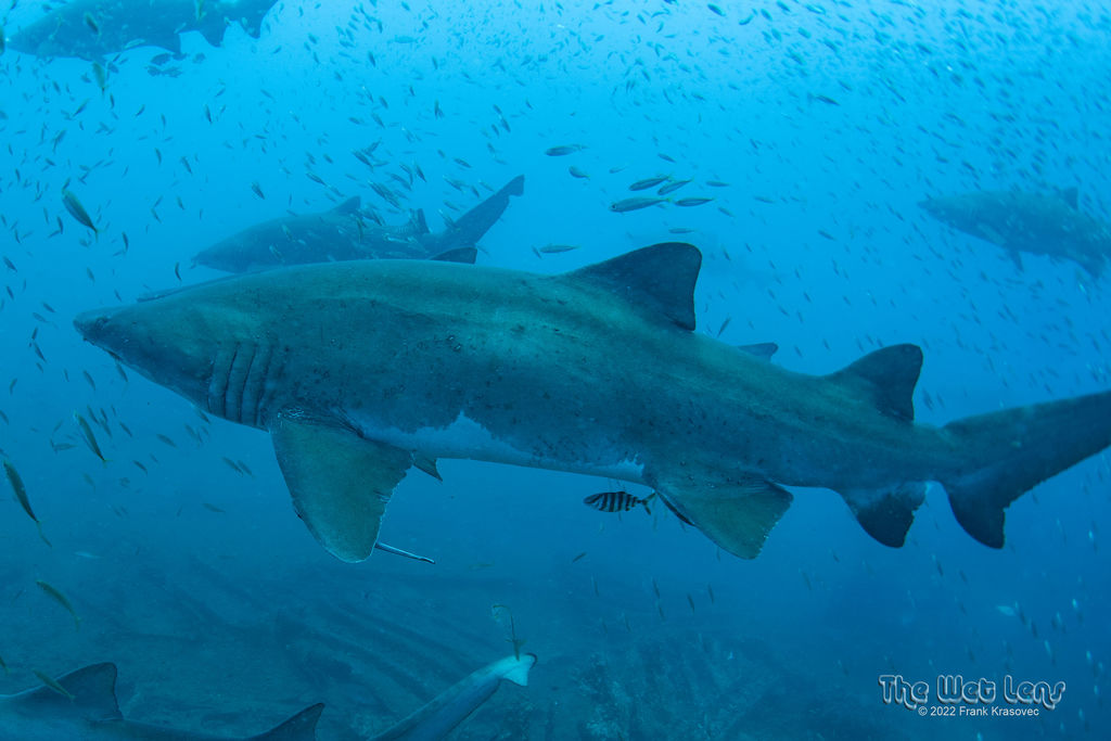 9852527c-36c8-4f94-b356-b300132e8db2