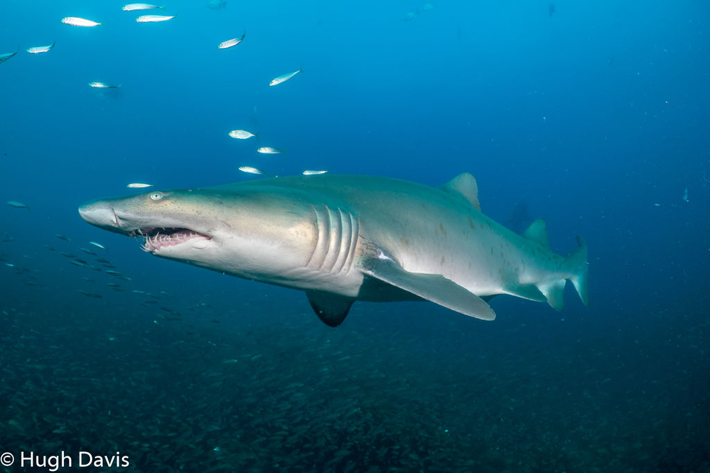 97032383-e882-48a0-8c71-4ae4cb44b19f