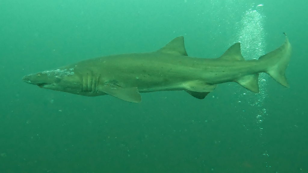 c0cdbe2d-3066-4d44-85e0-b88f8d06af34