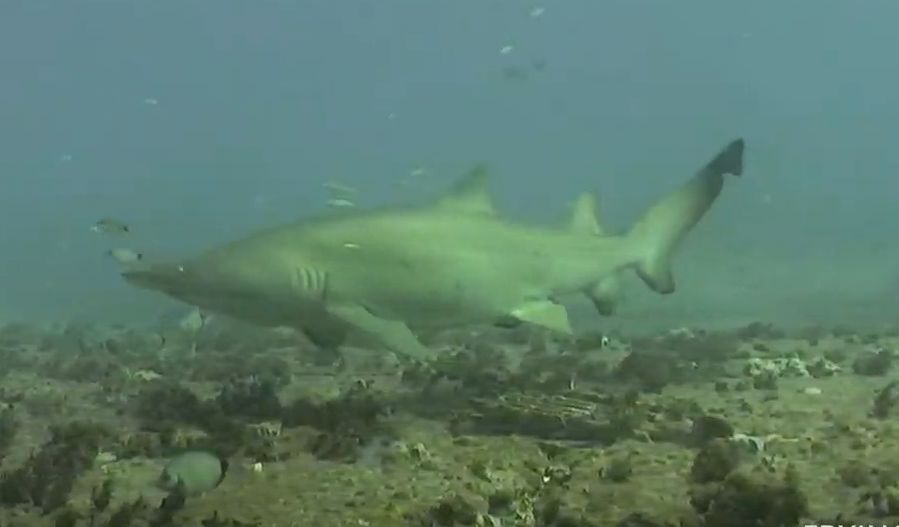 fb827101-3081-4050-82fa-e4fa119e3338