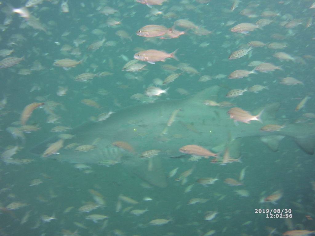 d65a8d5f-26f5-44ef-8e02-21ba8bfa5fe7