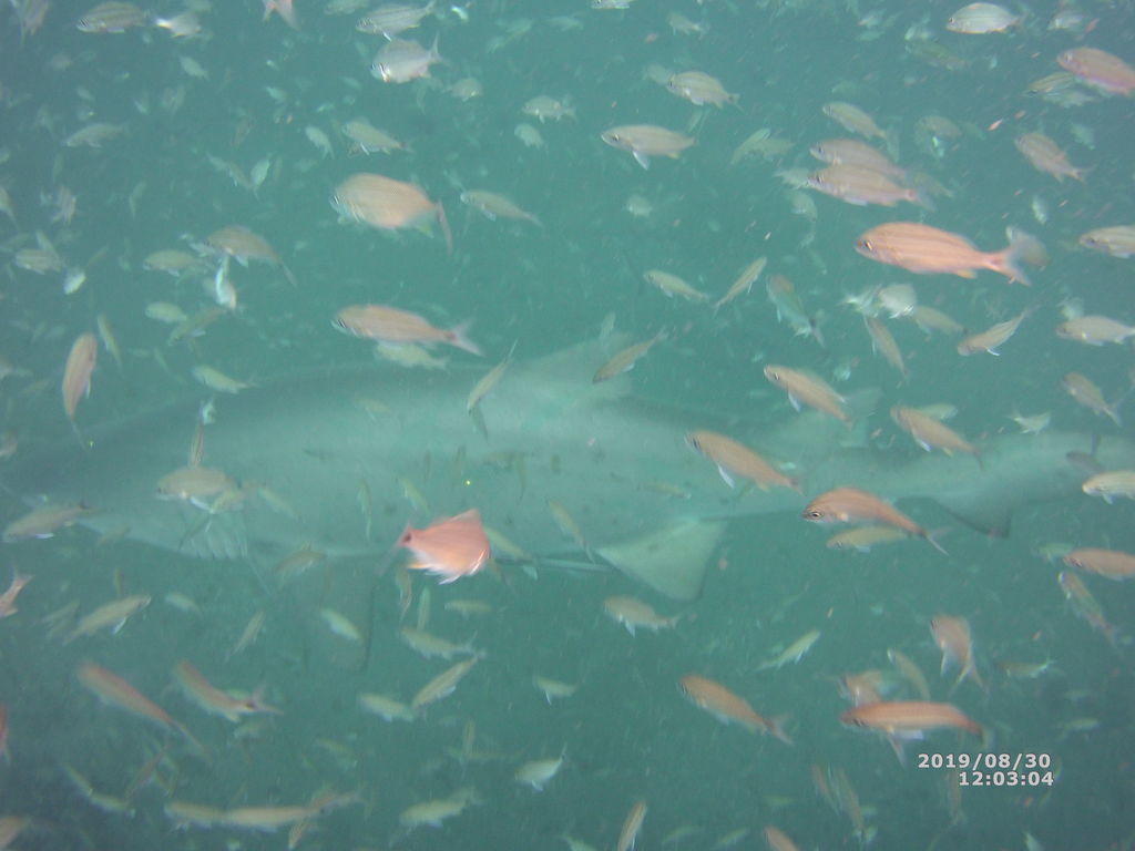 d65a8d5f-26f5-44ef-8e02-21ba8bfa5fe7