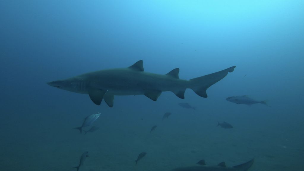 652ce8d1-7325-48dd-bc34-f603378f76a2