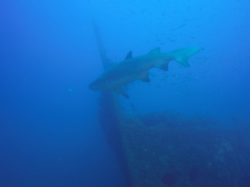 2289dcb2-2115-4e18-aace-c91b1ae14040