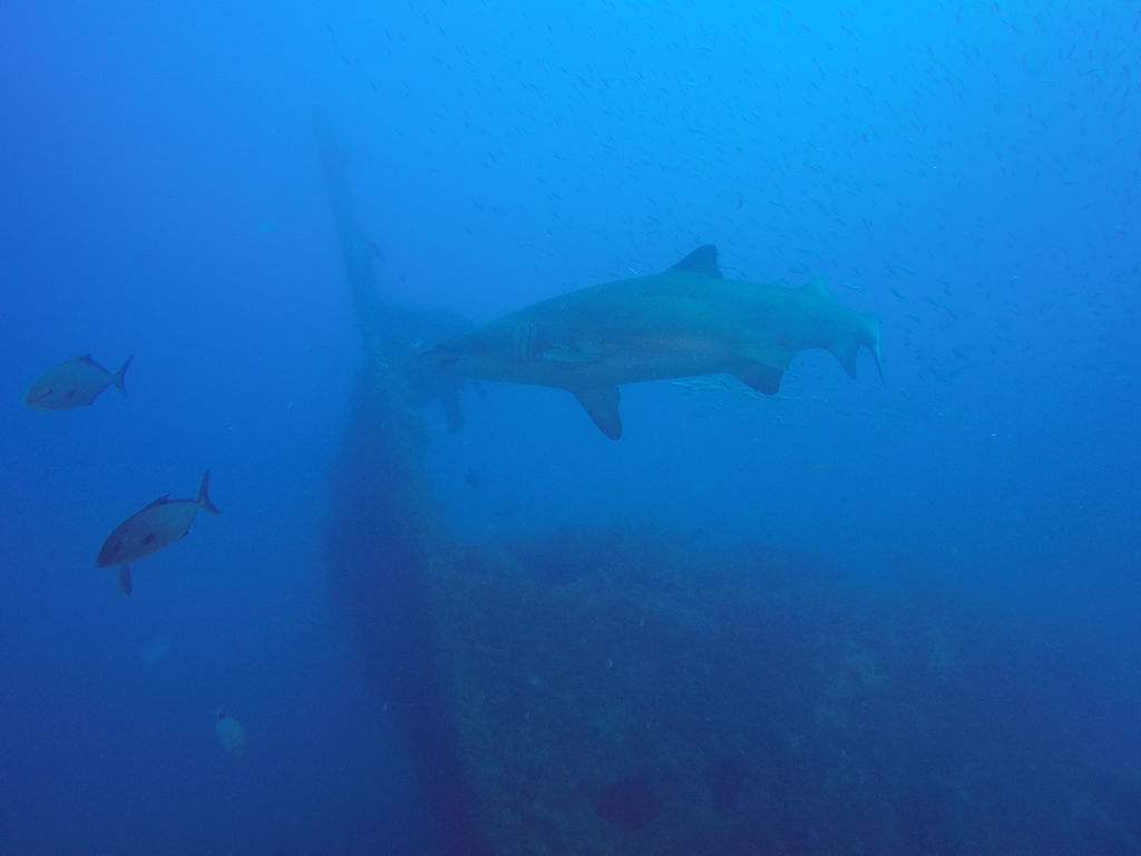 2289dcb2-2115-4e18-aace-c91b1ae14040