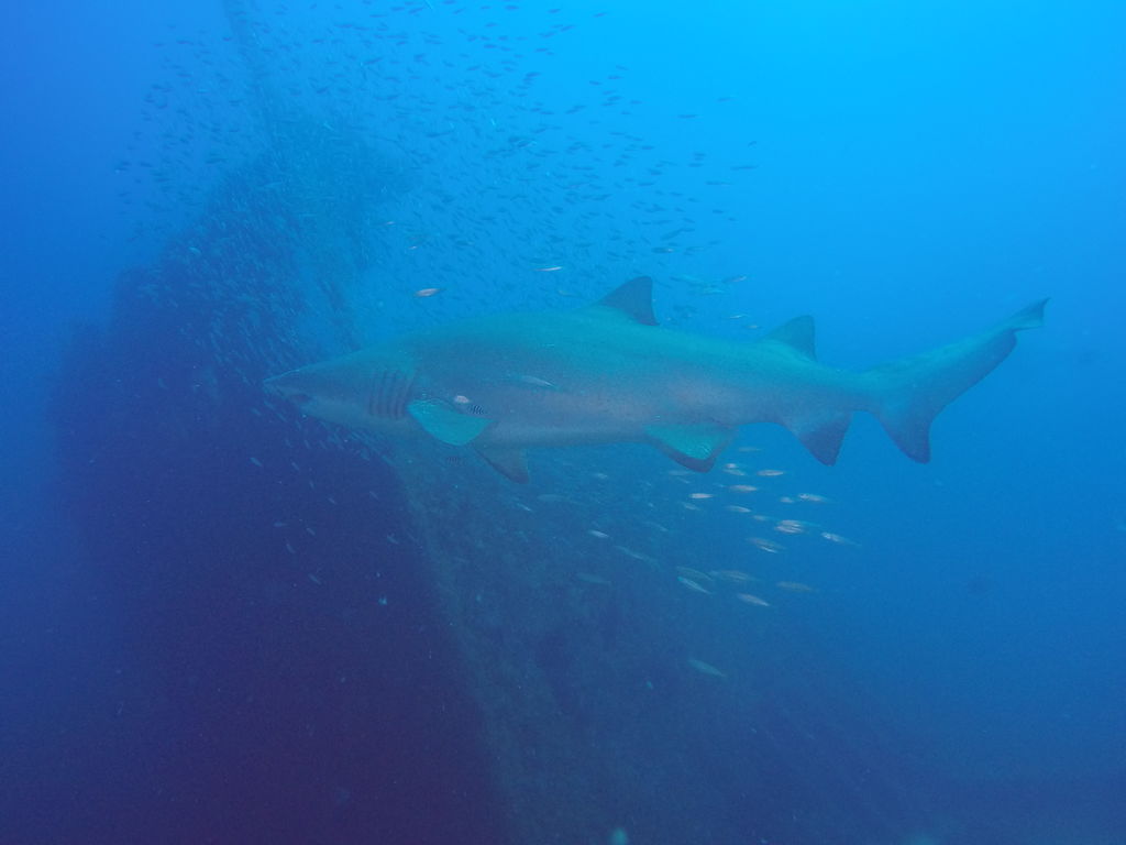 2289dcb2-2115-4e18-aace-c91b1ae14040