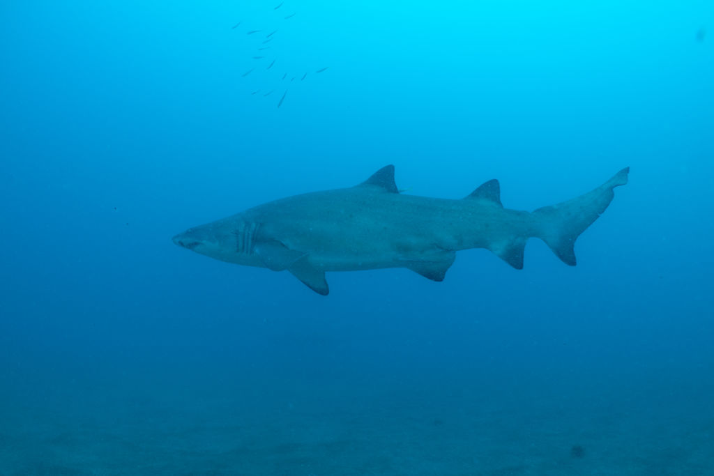 3dc6edaf-83f4-4672-8786-0b93fed55188