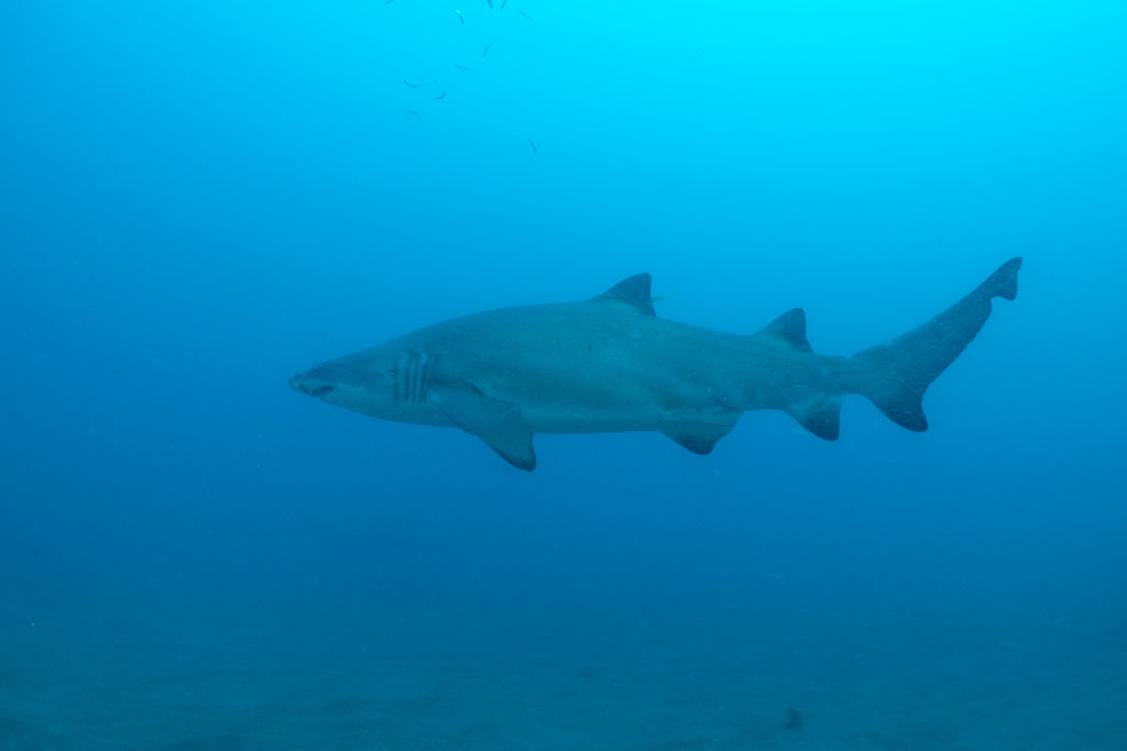 3dc6edaf-83f4-4672-8786-0b93fed55188