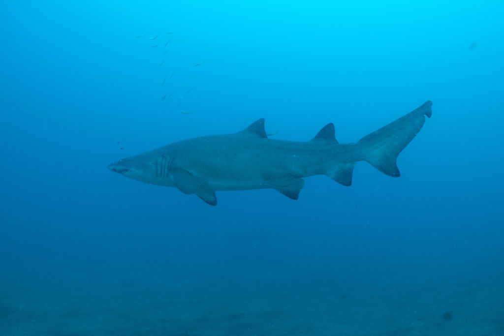 3dc6edaf-83f4-4672-8786-0b93fed55188