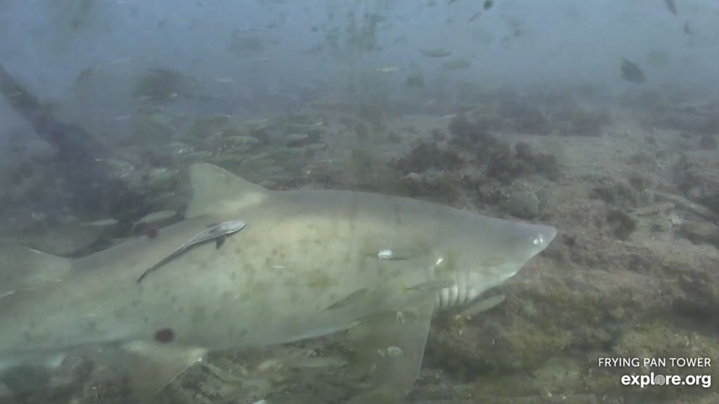 8273401d-a575-45ea-88f1-99336cefe5e9