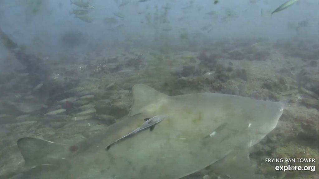 8273401d-a575-45ea-88f1-99336cefe5e9