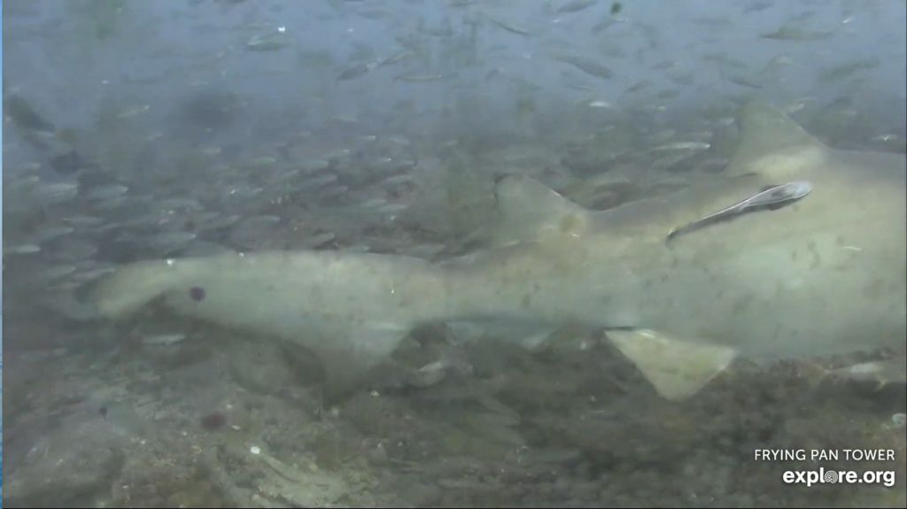 8273401d-a575-45ea-88f1-99336cefe5e9